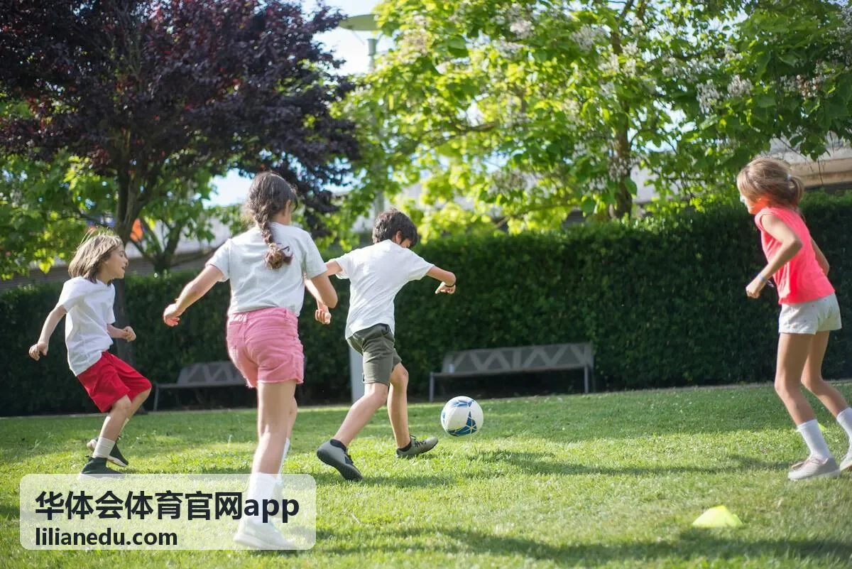 华体会体育官网app 功能解析栏目配图